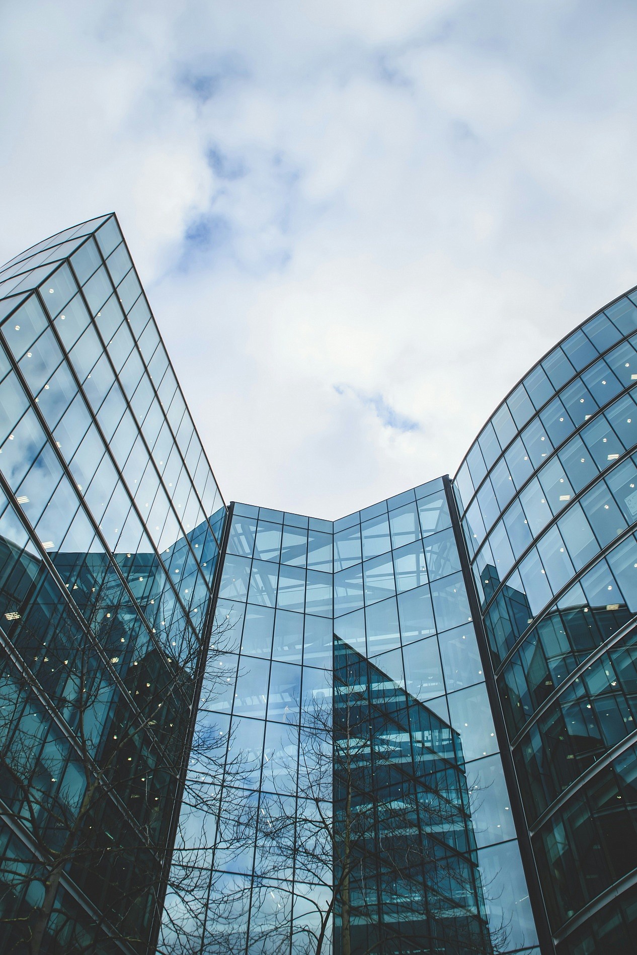 Legal Regime of the Beneficial Owner