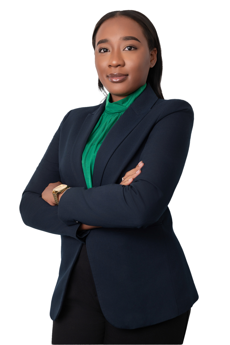 Kenya Domingos, Técnica Jurídica